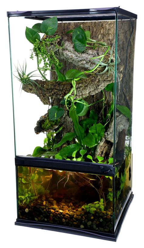 vochtmeter.paludarium|paludarium lizards.